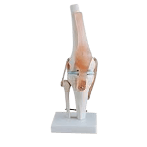 Kniegewricht